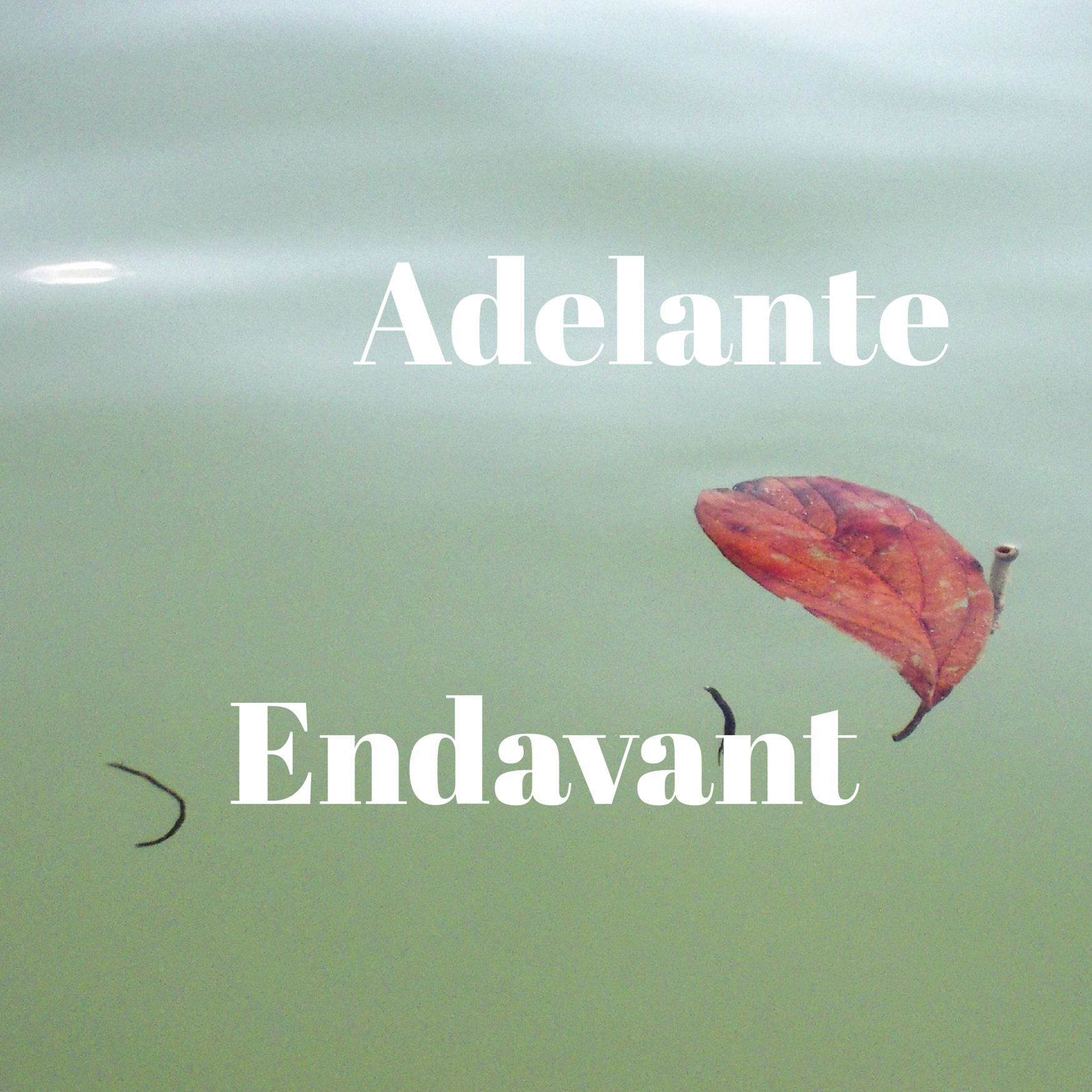 Adelante / Endavant
